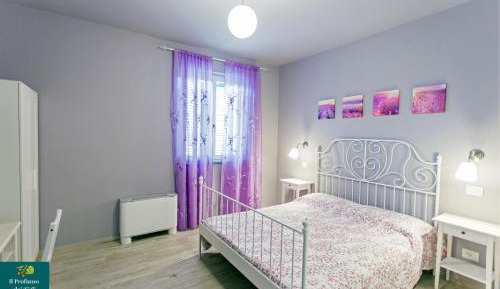 King Room with Garden View