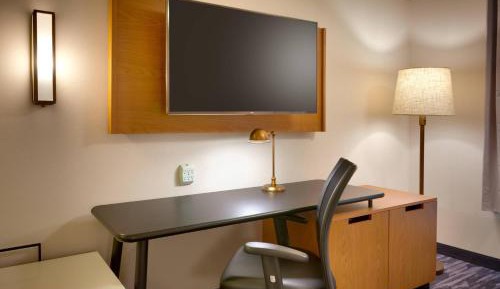 Executive Suite with Sofa Bed