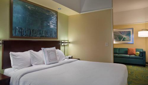 King Suite with Sofa Bed