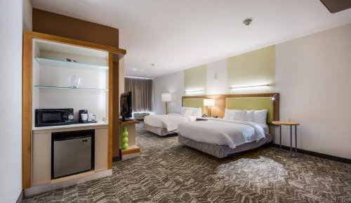 Queen Suite with Sofa Bed