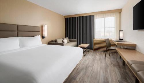 Guest room, 1 King, Sofa bed