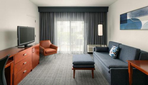 Suite, 1 King, Sofa bed