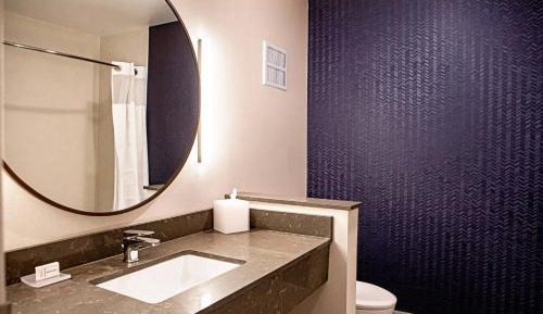 Suite, 1 King, Sofa bed
