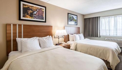 Standard Queen Room with Two Queen Beds