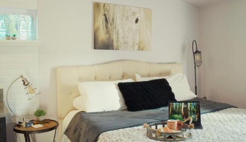 King Studio with Sofa Bed