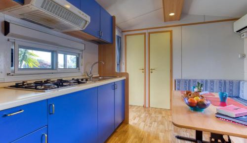 Mobile Home