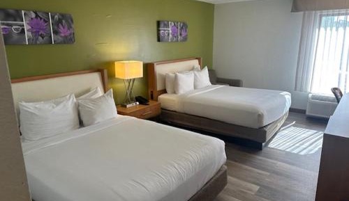 Standard Queen Room with Two Queen Beds - Non Smoking 