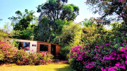 2 Bedroom Budget Cottage