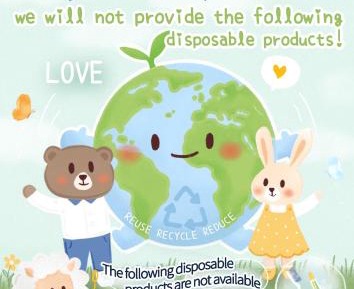 Standard Double Room (No Window)