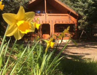 Three-Bedroom Chalet