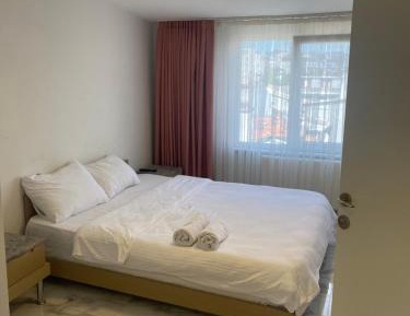Large Single Room
