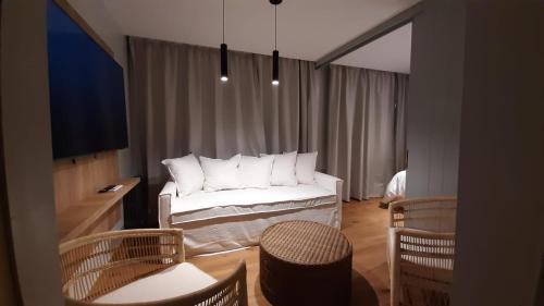 Standard Suite