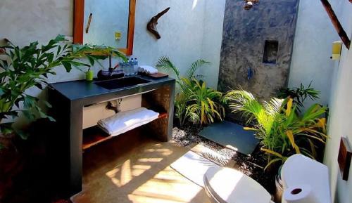 Duplex Suite