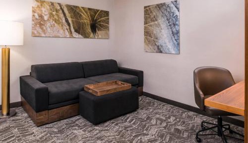 King Suite with Sofa Bed