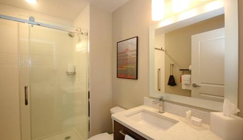 King Suite with Sofa Bed