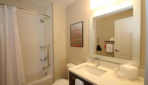 One-Bedroom Suite with Sofa Bed