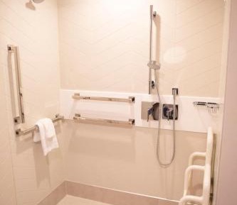 King Room with Roll-In Shower and Partial Lake View - Mobility Accessible