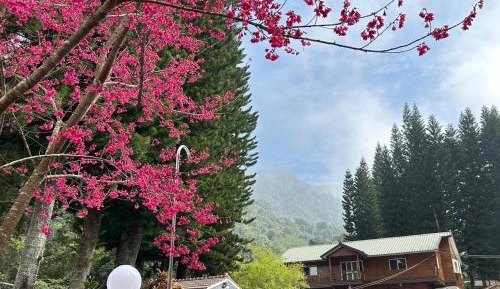 Quadruple Room with Mountain View (Pet friendly)