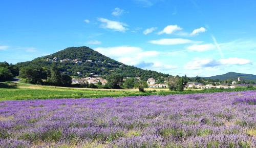 Villa with Garden View