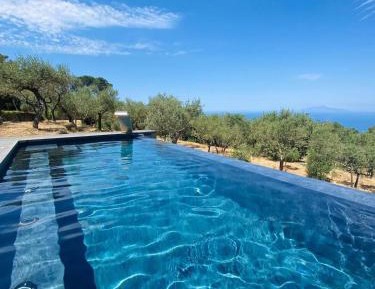 One-Bedroom Villa