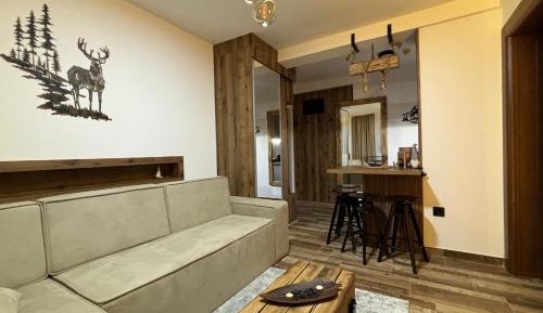 Deluxe One-Bedroom Apartment