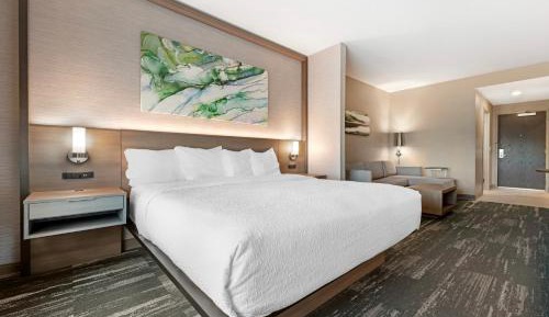 King Suite with Sofa Bed and Communication Assistance