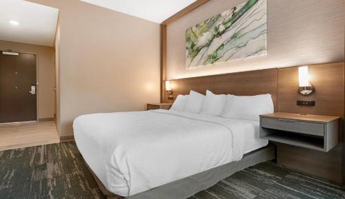King Room with Roll-In Shower - Disability Access