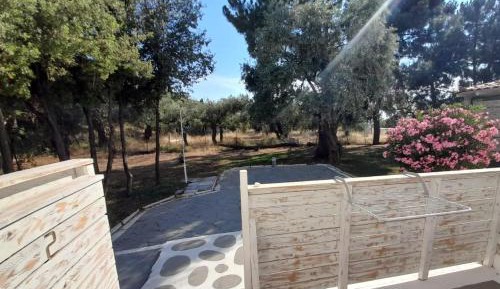 Double or Twin Room with Terrace