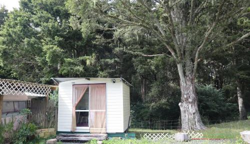 Queen Room with Shared Bathroom