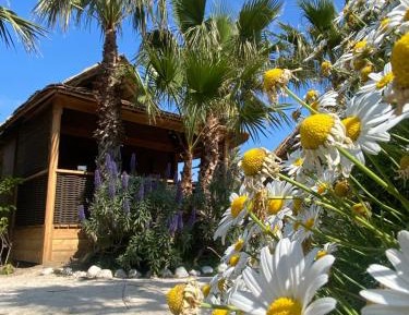 Garden Tiki Hutte Premium - Two-Bedroom Bungalow (4 Adults + 2 Children)