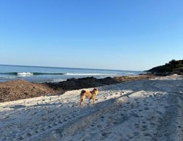 Apartment with Garden View