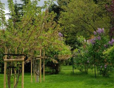 Double Room with Garden View