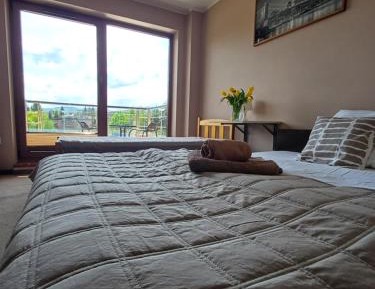 Single Room with Balcony