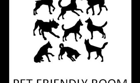 Pet Friendly -- 2 Queens