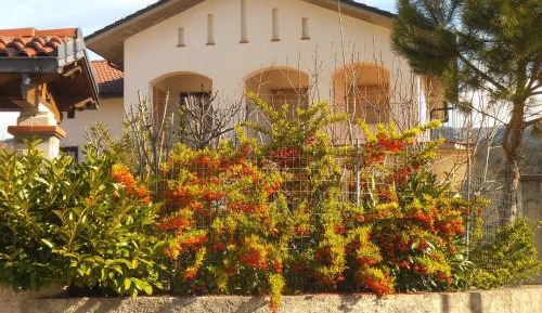 Apartment with Garden View