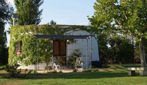 One-Bedroom Apartment with Garden View