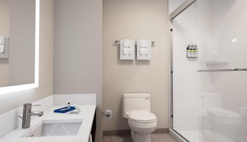 One-Bedroom King Suite