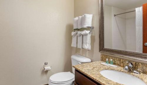 King Suite with Sofa Bed