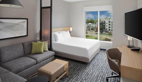 Specialty King Room with Sofa Bed