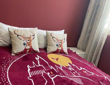 Quadruple Room with Private Bathroom