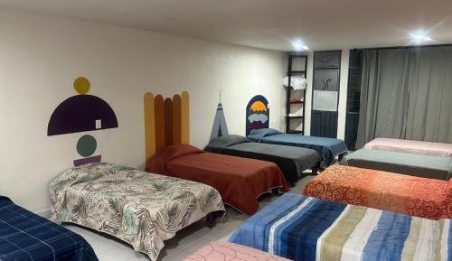 Single Bed in 10-Bed Dormitory Room