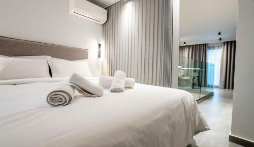 One-bedroom Loft Apartment 