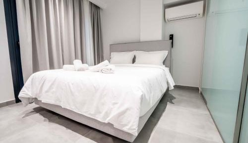 Deluxe One-Bedroom Apartment