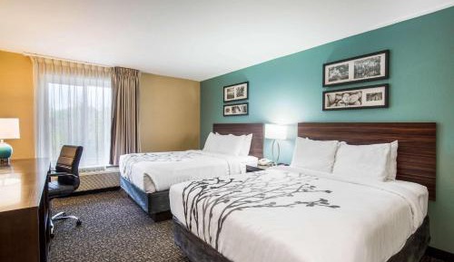 Standard Queen Room with Two Queen Beds - Non-Smoking