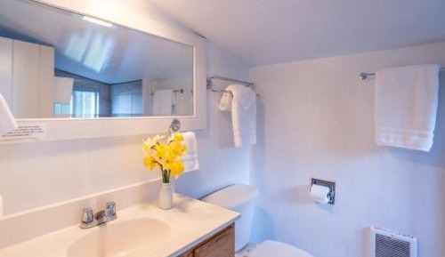 Deluxe Double Room with Shower