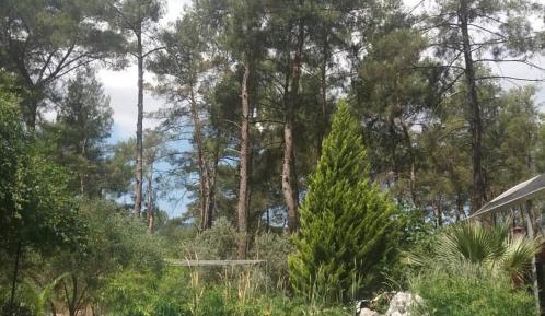 Double Room with Pool View