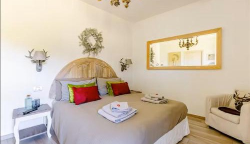 Double Room with Mountain View
