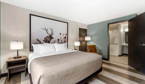 King Room - Accessible/Non-Smoking