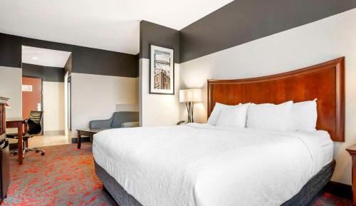 King Suite - Non-Smoking