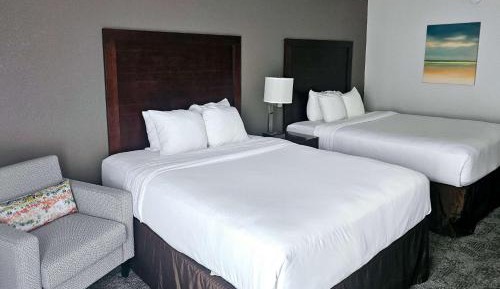 Queen Room with Two Queen Beds - Pet Friendly